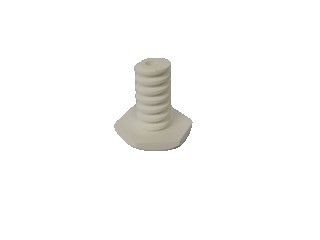 Foot