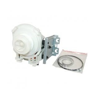 Wash Pump Motor