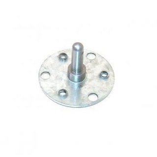 Pin
