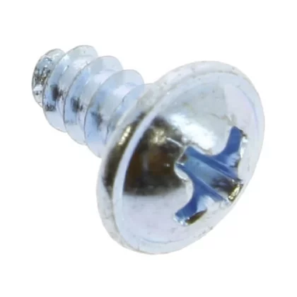 Screw